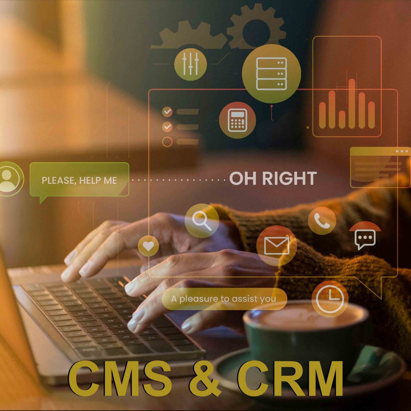 CMS & CRM